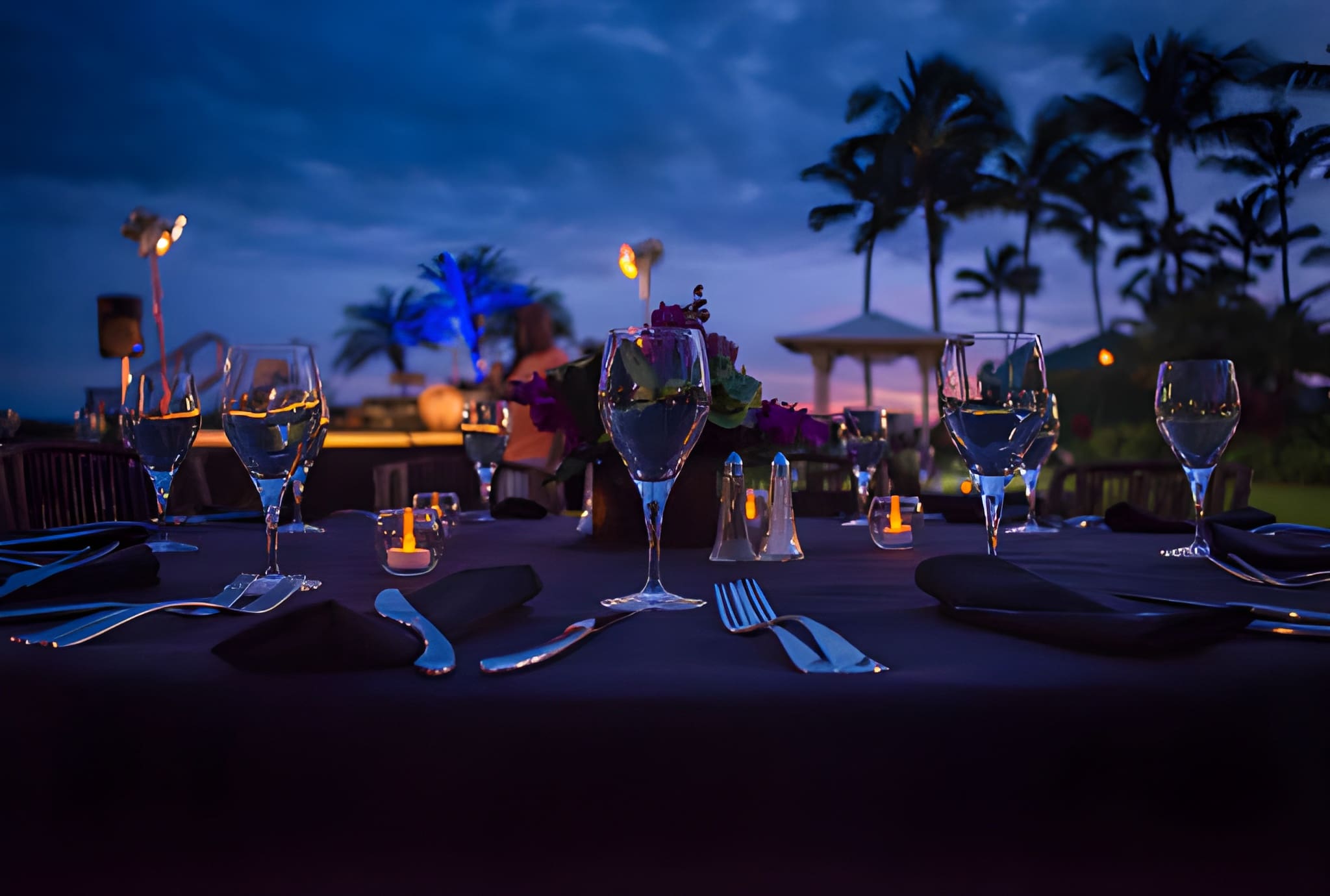 Gourmet dinner under the stars