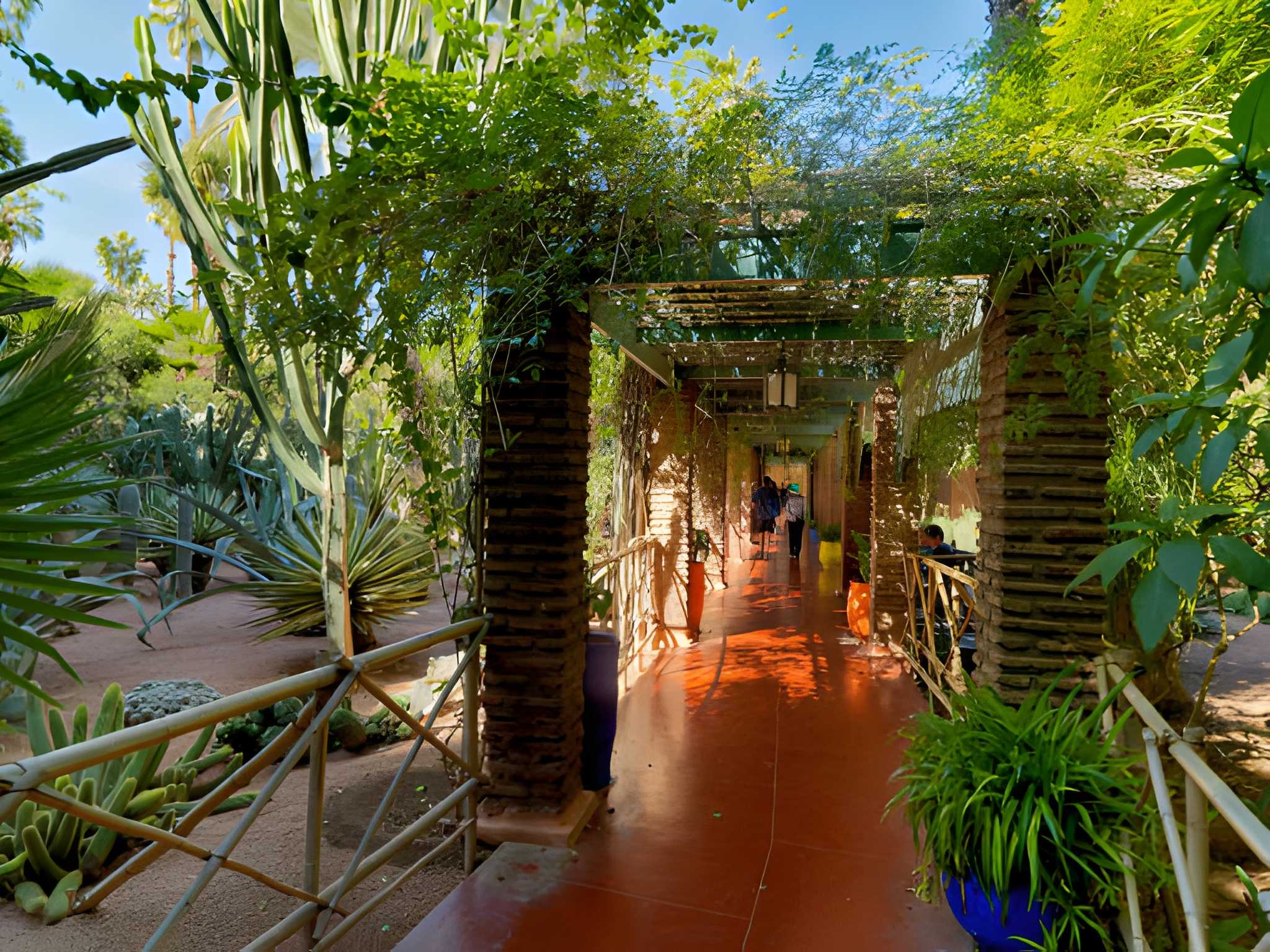 majorelle garden botanical path