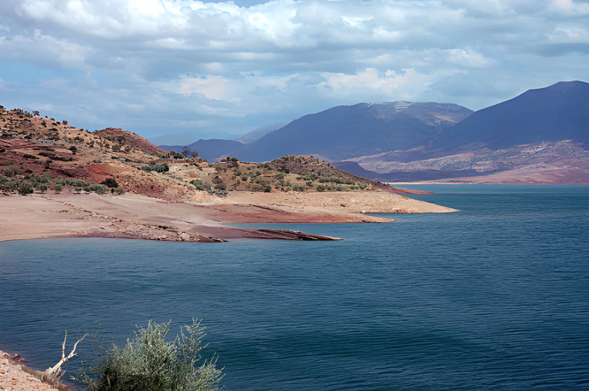 Ouirgane pine landscapes