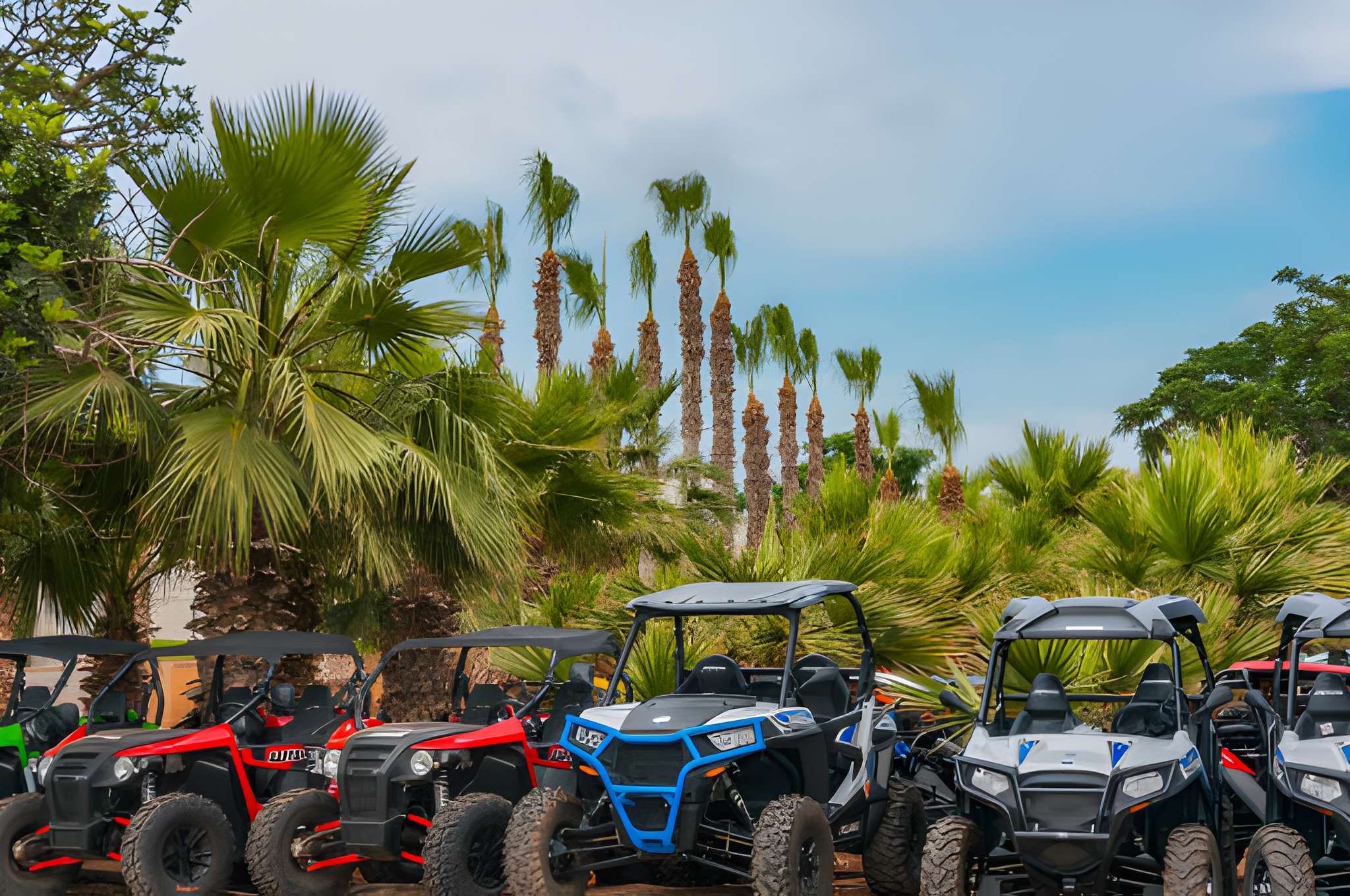 Buggy driving in Palmeraie
