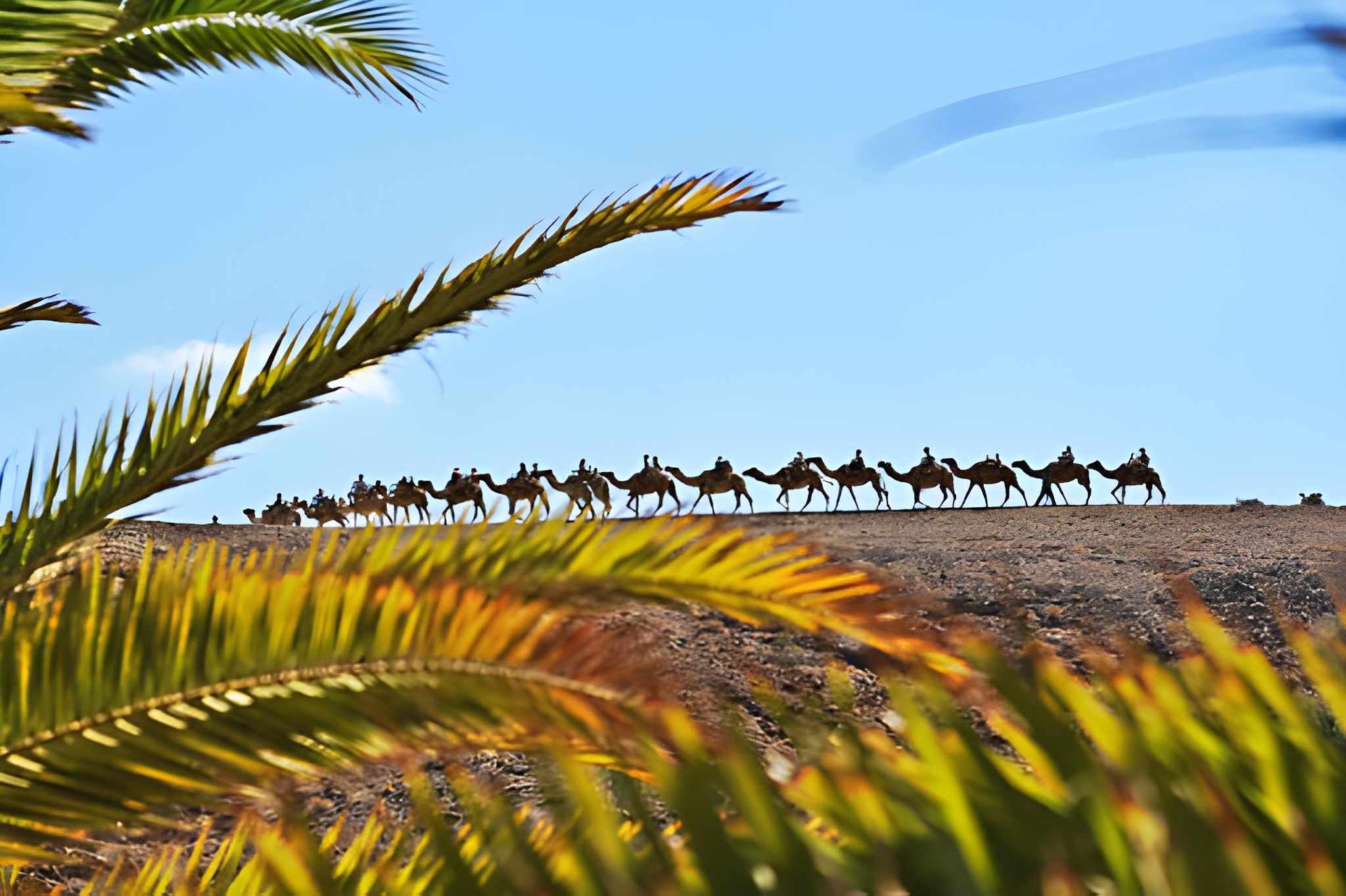 Group quad buggy adventure