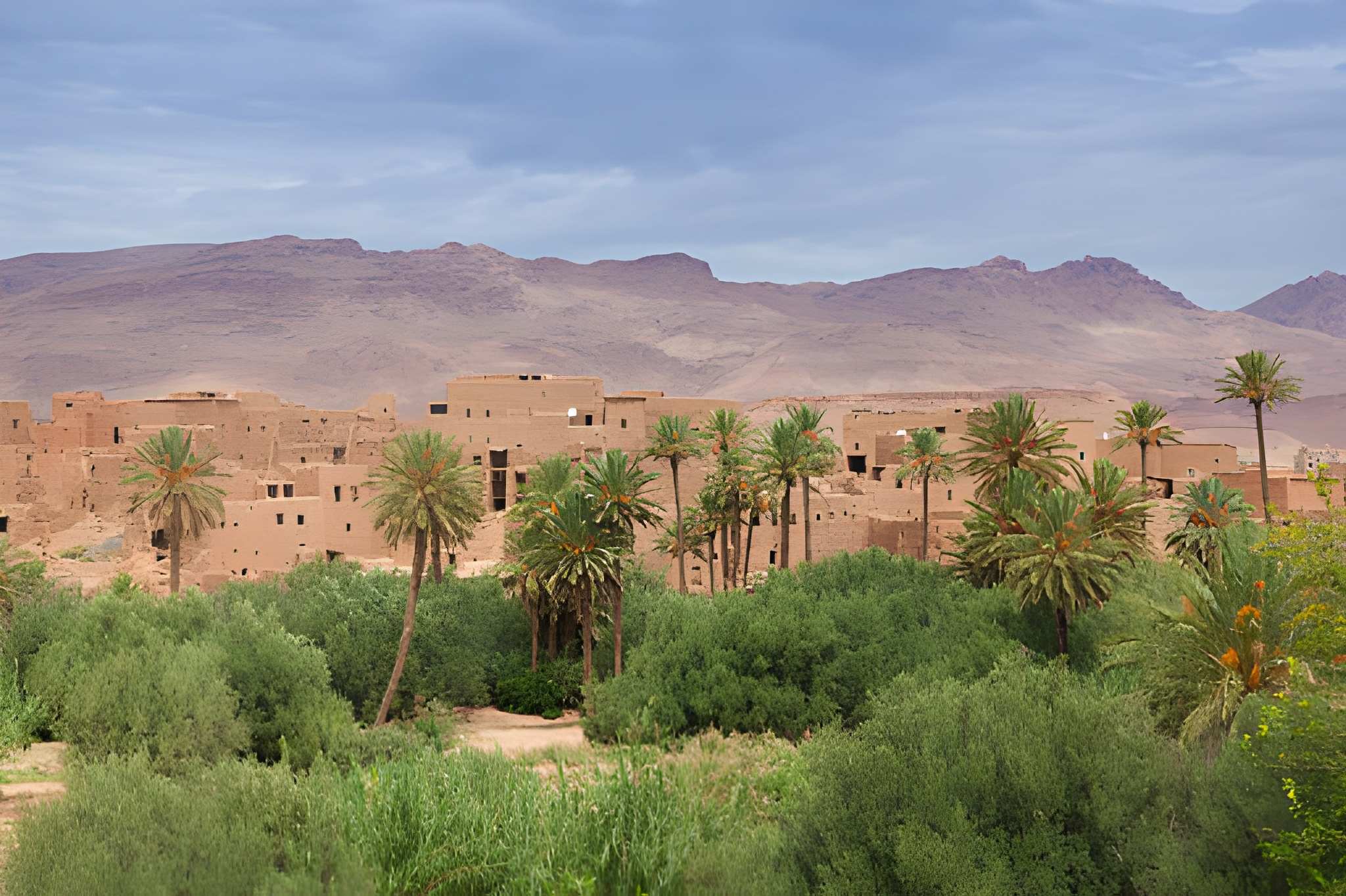 Skoura palm oasis kasbah